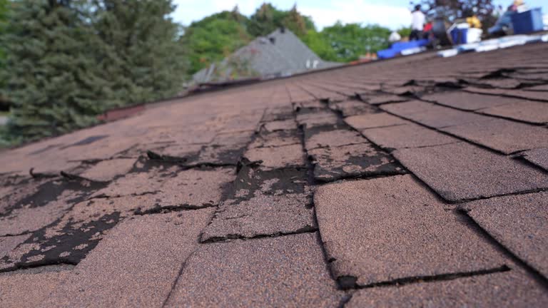 Fast & Reliable Emergency Roof Repairs in Paducah, KY