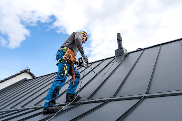 Best Roof Moss and Algae Removal  in Paducah, KY